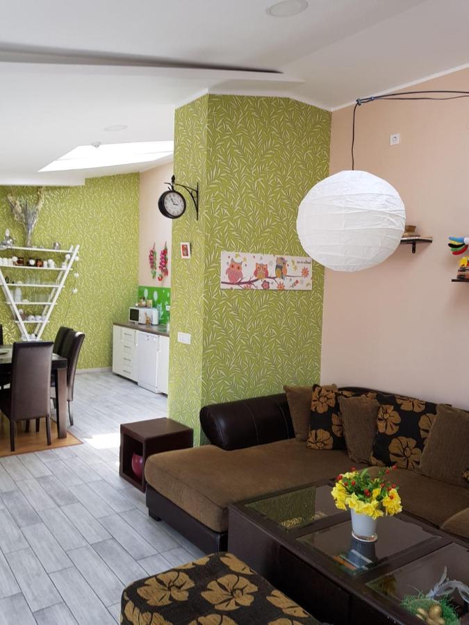 Apartment Sovica Belgrade Extérieur photo